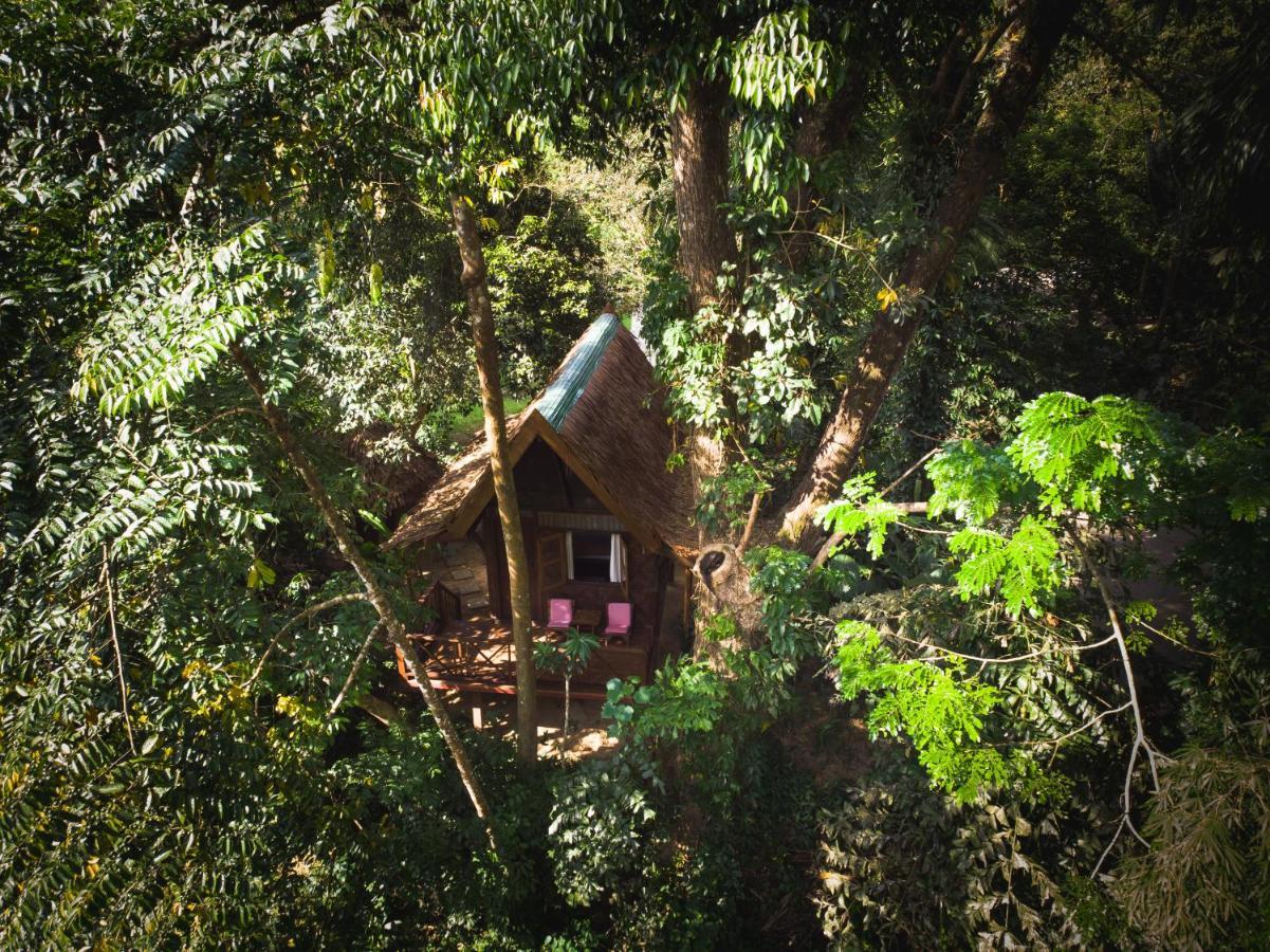 Our Jungle House Hotel Khao Sok National Park Exterior foto